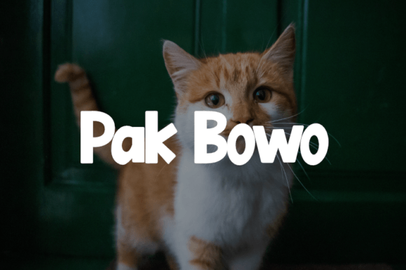 Pak Bowo Font for Creative Design