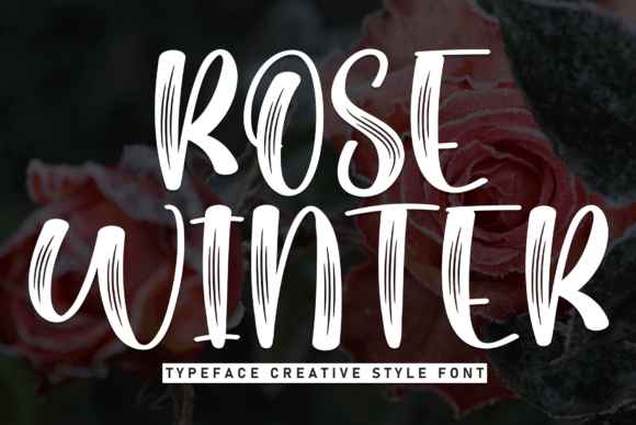 Rose Winter Font Review