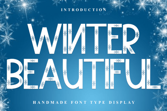 Winter Beautiful Font for Business